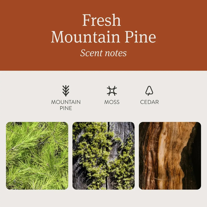 Drift Wooden Car Air Freshener - Amber Scent | Natural Wood Fragrance